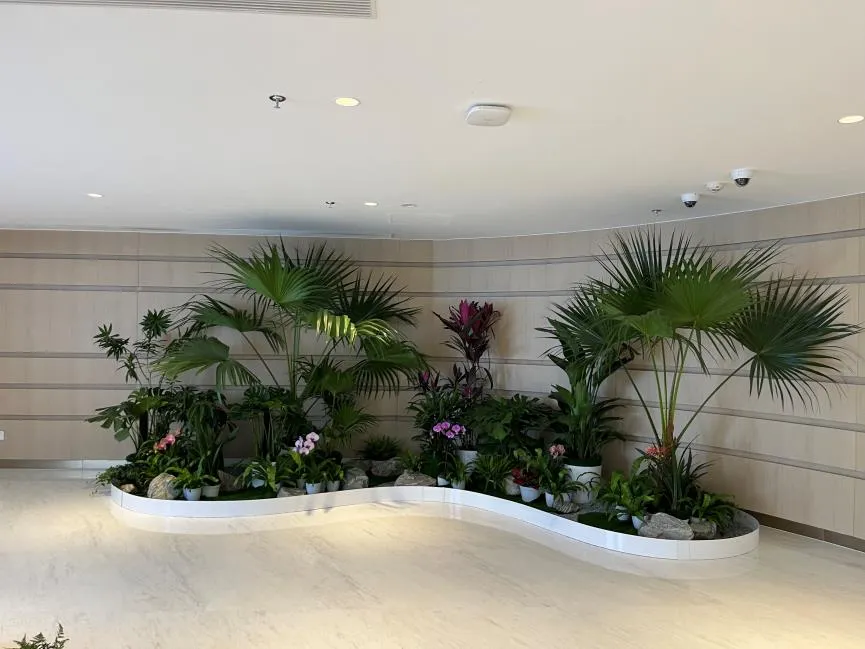 惊艳！杭州湾绿植租摆设计，点亮空间新活力><div class=